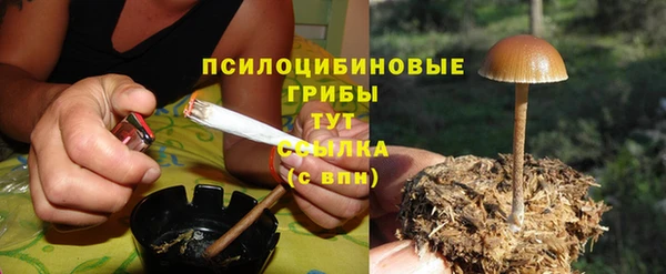 синтетический гашиш Бородино