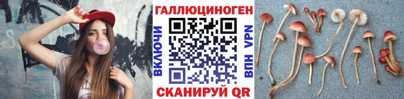 Галлюциногенные грибы MAGIC MUSHROOMS  Звенигород 